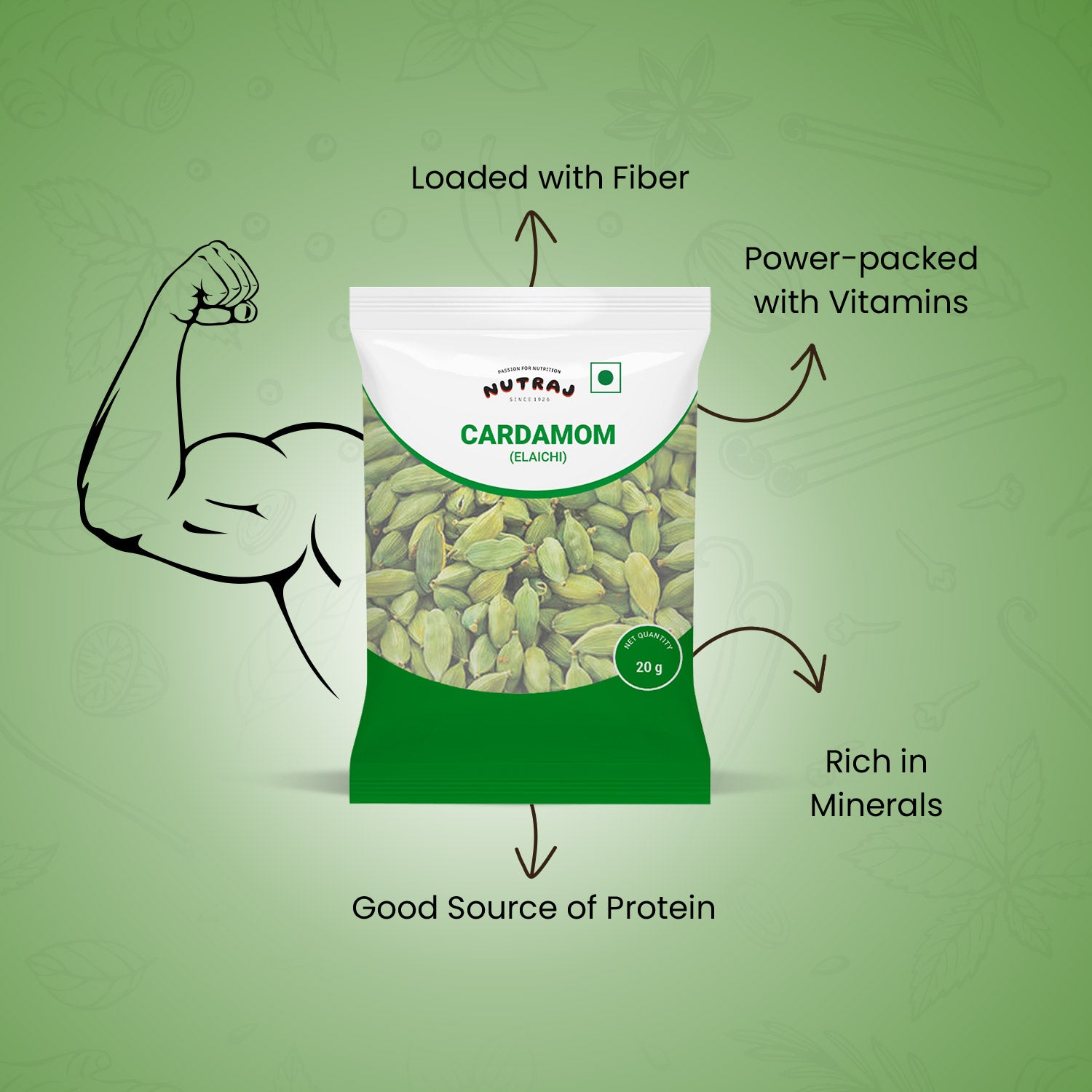 Whole Cardamom Green 20Gm | Elaichi | Whole Spices